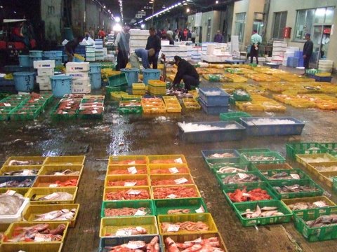 魚市場の風景 魚